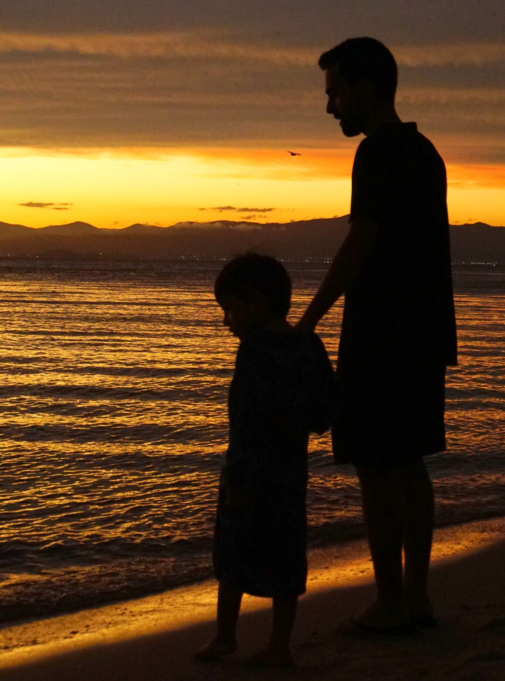 sunset pai e filho v